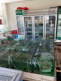 渔之寮海鲜楼
