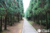 玉苍山-游步通幽处